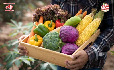 7 Rekomendasi Menu Sayuran yang Memperkuat Antioksidan Tubuh
