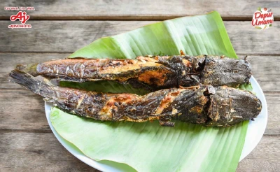 Cara Membersihkan Ikan Lele agar Tidak Berlendir dan Amis