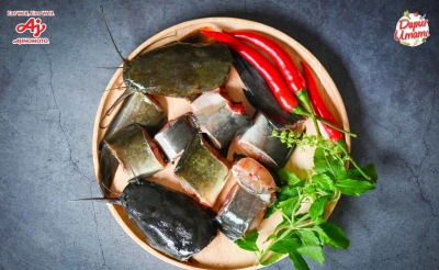 Ikan Lele Ternyata Kaya Manfaat, Yuk Cari Tahu Alasannya!