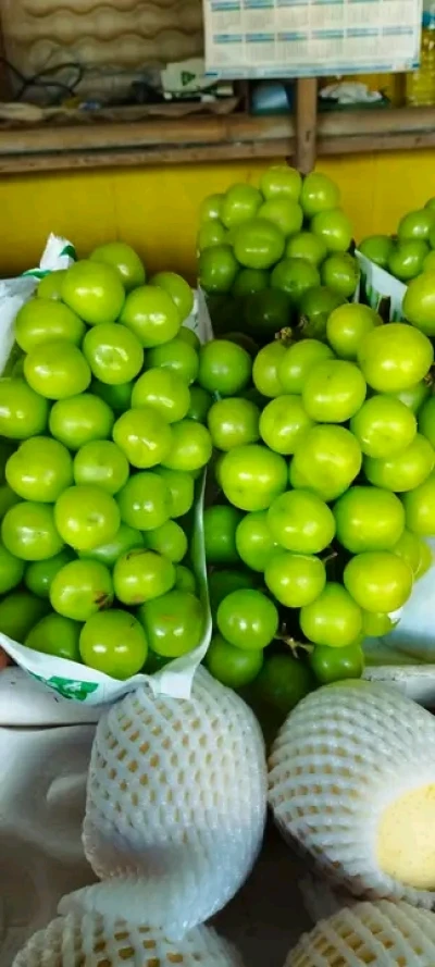Anggur hijau