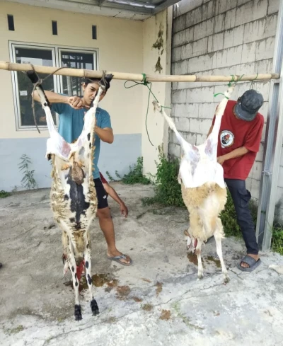 ARTI BERQURBAN
