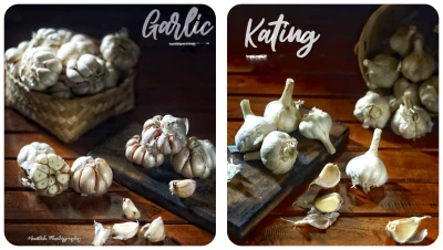 Bawang Putih Biasa vs Bawang Putih Kating