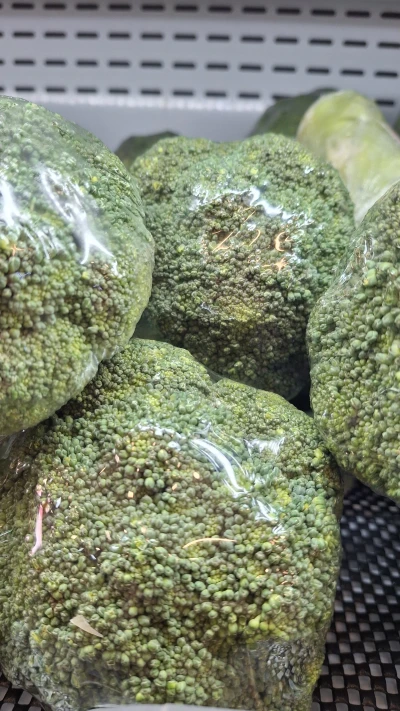 Berburu Brokoli untuk Pekan Kreasi Brokolicious