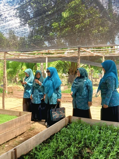 Berkunjung ke kebun PKK desa Alue Sentang
