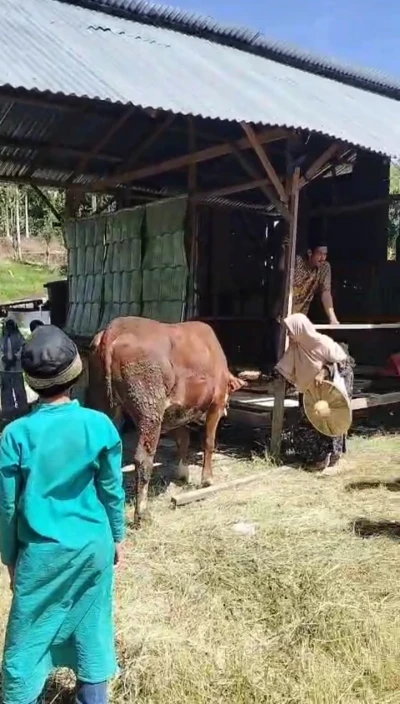 Berkurban, Momen yang paling ditunggu saat Idul Adha
