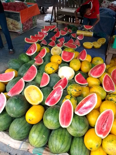 Buah semangka kuning dan merah untuk berbuka puasa nanti