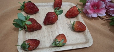 Buah  Strawberry untuk Kesehatan Tubuh