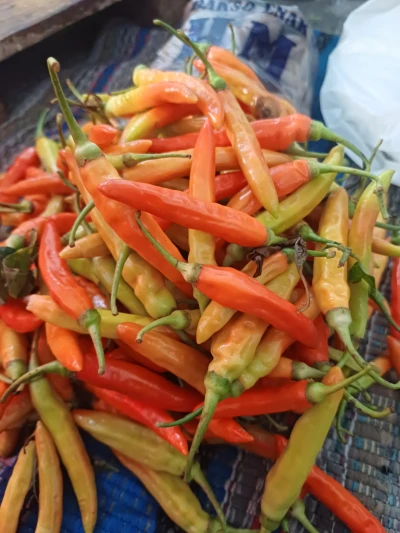 Cabe Rawit