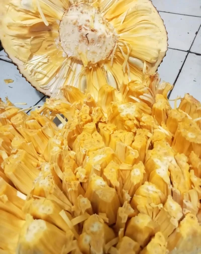 Cemilan malam Nangka