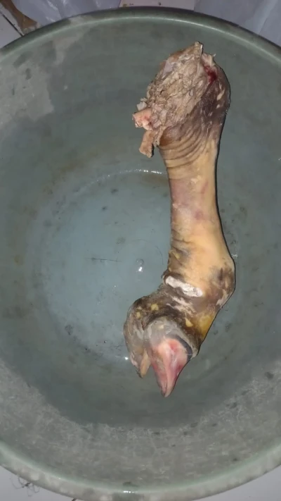 Cerita Idul Adha day 2 :  Apa itu Cuti bersama ?