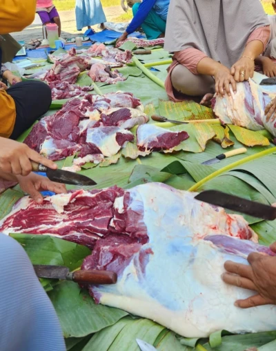 #CeritaIduladha Day 2 : Gotong royong membagi daging hewan kurban