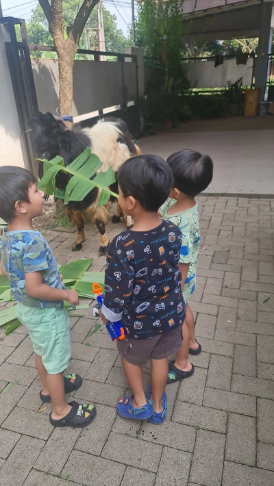 #CeritaIduladha Memberi Makan Hewan Kurban