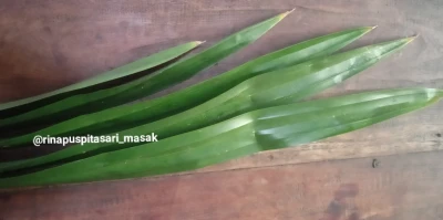 Daun Pandan : Bahan Alami Membuat Cantik Makanan