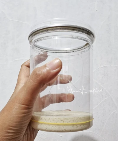 Day-1 Belajar Bikin Starter Sourdough