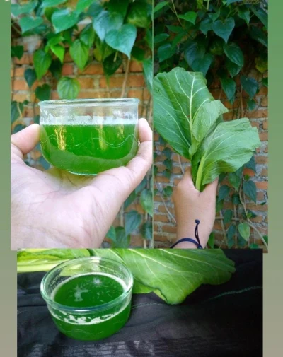 Day2 #HidupLebihSehat setelah lebaran (jus sayur buah)