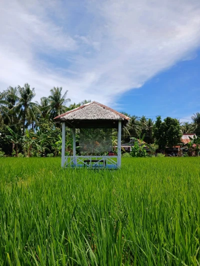 #HidupLebihSehat Setelah Lebaran, Day 4 : Refreshing