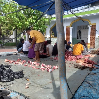 Ibadah Qurban  #CeritaIdulAdha