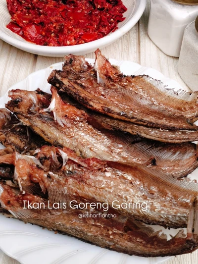 Ikan lais