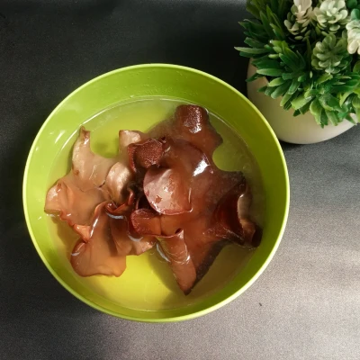 Jamur Kuping