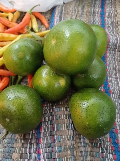 Jeruk Peras