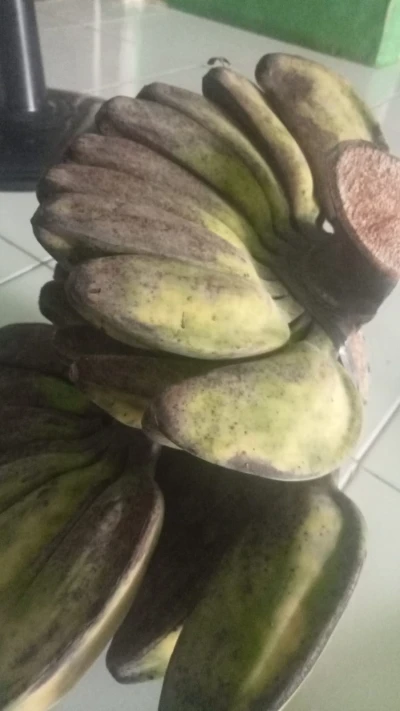 Jurnal Ramadan Pisang Kepok