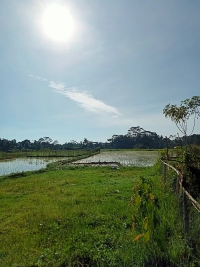#jurnalramadan  pagi hari cerah ditanggal 14 Ramadhan 1446 H