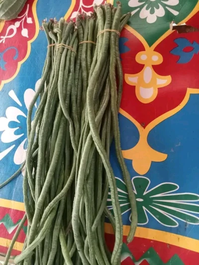 Kacang