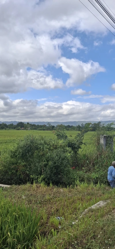 Kangen Kampung Halaman
