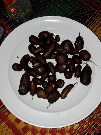 Khasiat Kentang Ireng (Hitam)