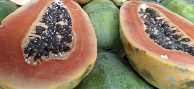 Konsumsi Buah Pepaya Setiap Hari
