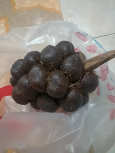 Manfaat buah Salak