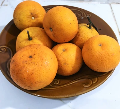 Manfaat jeruk 🍊🍊🍊