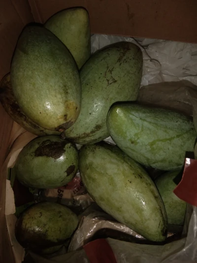 Mangga mayong