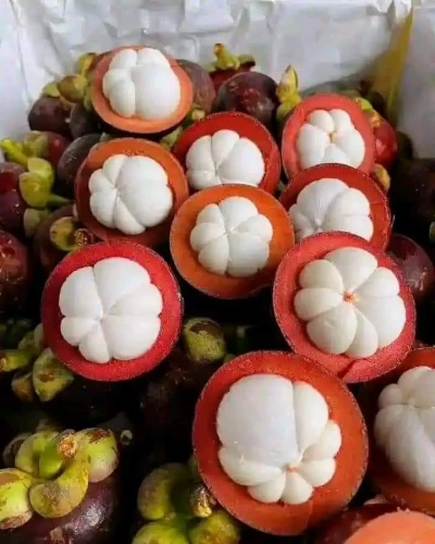 Manggis