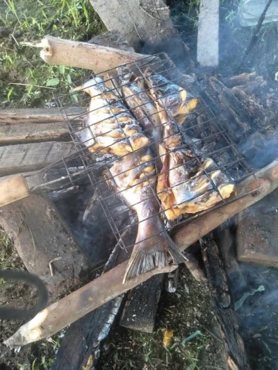 Memanggang ikan dikebun dadakan, sungguh nikmat!