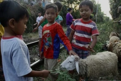 Memperkenalkan Makna Idul Adha Kepada Anak #CeritaIdulAdha