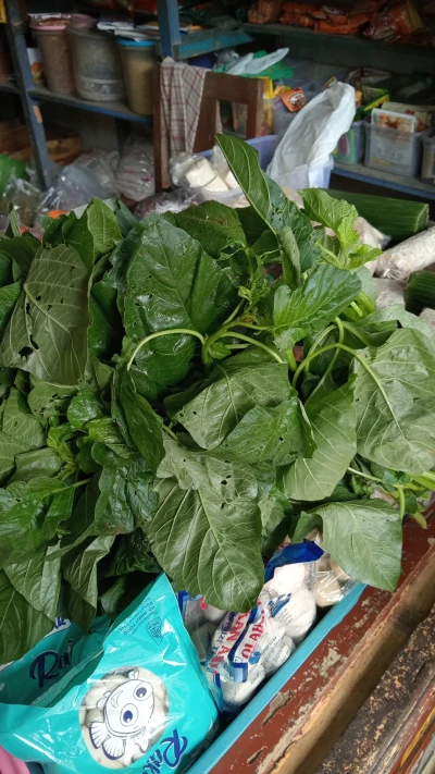 Mengapa sayur bayam termasuk makanan sehat?