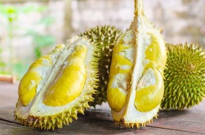 Mitos Atau Fakta ?