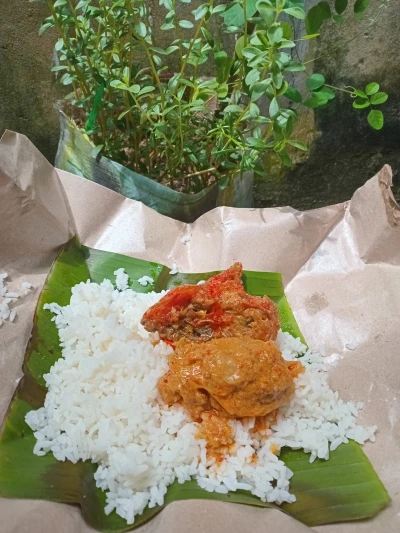 Nasi padang