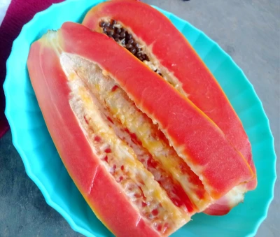 Pepaya California