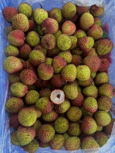 Pernah makan buah leci segar?