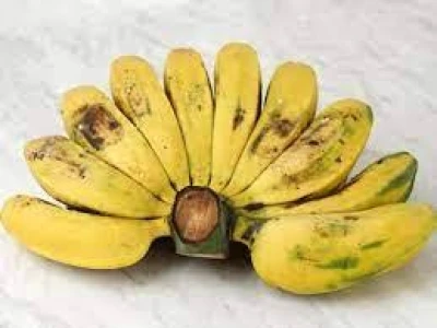 Pisang