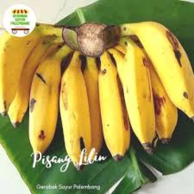 Pisang lilin
