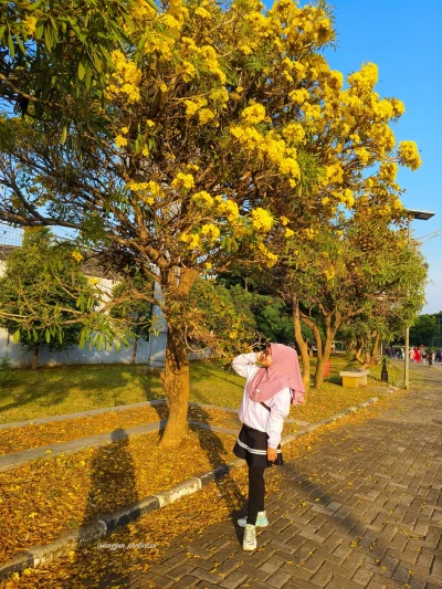 Rutin Olahraga agar Hidup Lebih Sehat