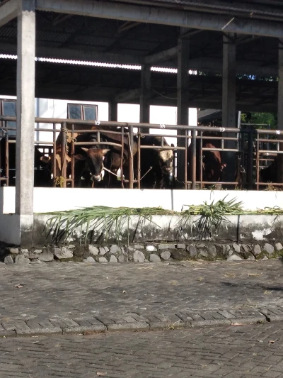 Saatnya Berbagi di Hari Raya Idul Adha