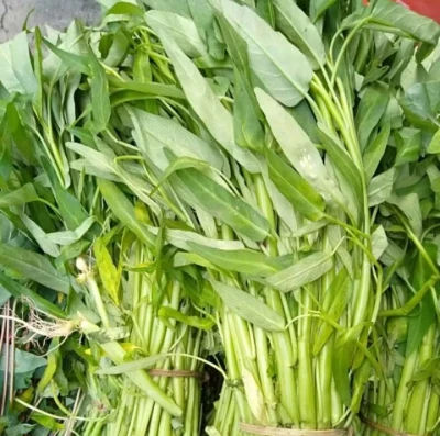 Sayur kangkung layu bisa segar kembali
