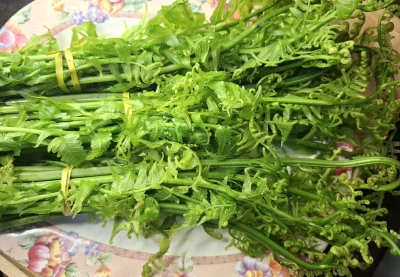Sayur Pakis
