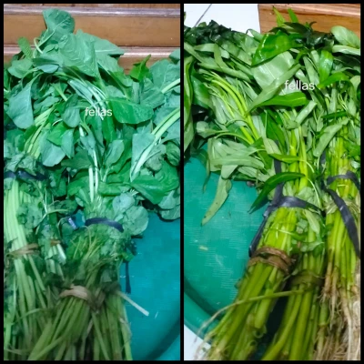 Sayuran Hijau