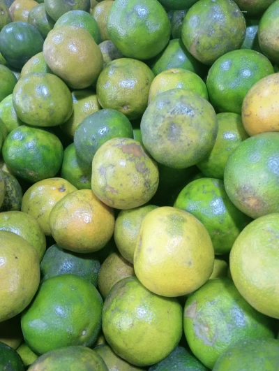 Segudang Manfaat Buah Jeruk