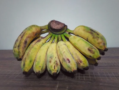 Buah Pisang